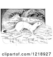 Clipart Of A Black And White White Weasel In The Forest Royalty Free Vector Illustration