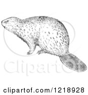 Clipart Of A Black And White Beaver Royalty Free Vector Illustration