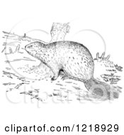 Clipart Of A Black And White Beaver With Stumps Royalty Free Vector Illustration