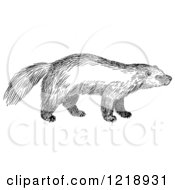 Clipart Of A Black And White Wolverine Royalty Free Vector Illustration
