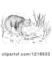 Clipart Of A Black And White Bobcat With Rabbit As Prey Royalty Free Vector Illustration