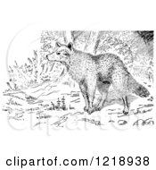 Clipart Of A Black And White Wolf In The Forest Royalty Free Vector Illustration by Picsburg