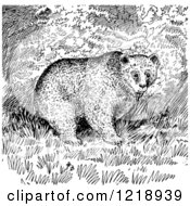 Clipart Of A Black And White Grizzly Bear In The Woods Royalty Free Vector Illustration
