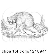 Clipart Of A Black And White Raccoon On A Shore Royalty Free Vector Illustration by Picsburg