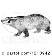 Clipart Of A Black And White Badger Royalty Free Vector Illustration