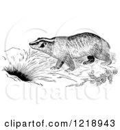 Clipart Of A Black And White Badger By A Den Royalty Free Vector Illustration