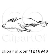 Clipart Of A Black And White Dead Rabbit Royalty Free Vector Illustration