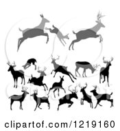 Poster, Art Print Of Gray And Black Silhouetted Deer Stags Bucks Does And Fawns 3