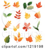 Clipart Of Colorful Autumn Leaves 2 Royalty Free Vector Illustration
