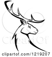 Black And White Deer With Antlers