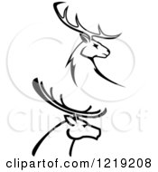 Poster, Art Print Of Black And White Deer With Antlers