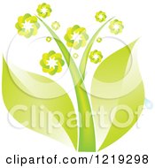 Poster, Art Print Of Plant With Green Leaves And Flowers