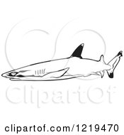 Poster, Art Print Of Black And White Whitetip Reef Shark