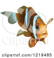 Clipart Of A Barrier Reef Anemonefish Royalty Free Vector Illustration