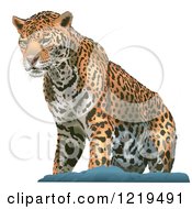 Poster, Art Print Of Leopard On A Rock