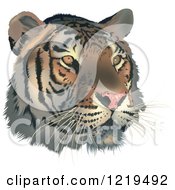 Poster, Art Print Of Tiger Face
