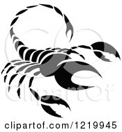 Poster, Art Print Of Black And White Astrology Scorpio Scorpion Zodiac Star Sign