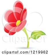 Poster, Art Print Of Red Daisy Flower