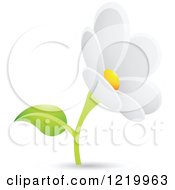 Poster, Art Print Of White Daisy Flower