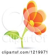 Poster, Art Print Of Orange Daisy Flower