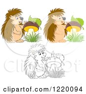 Clipart Of Colored And Outlined Cute Hedgehogs With Mushrooms Royalty Free Vector Illustration