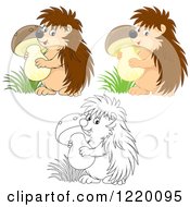 Clipart Of Colored And Outlined Cute Hedgehogs Carrying Mushrooms Royalty Free Vector Illustration