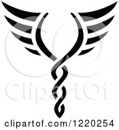 Clipart Of A Pair Of Black And White Wings 4 Royalty Free Vector Illustration by cidepix