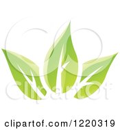 Clipart Of Green Organic Leaves 5 Royalty Free Vector Illustration