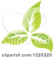 Clipart Of Green Organic Leaves 4 Royalty Free Vector Illustration