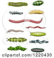 Clipart Of Worms And Caterpillars Royalty Free Vector Illustration