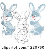 Poster, Art Print Of Outlined And Gray And White Bunny Rabbits Facing Left