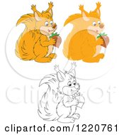Clipart Of Outlined And Colored Cute Squirrels Holding Acorns Royalty Free Vector Illustration