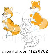 Clipart Of Outlined And Colored Foxs Standing Upright And Facing Left Royalty Free Vector Illustration