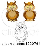 Clipart Of Outlined And Colored Owls Royalty Free Vector Illustration