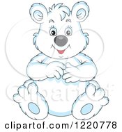 Poster, Art Print Of Sitting Chubby Polar Bear