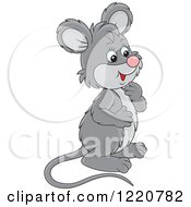 Poster, Art Print Of Cute Gray Mouse Facing Right