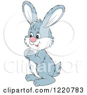 Clipart Of A Cute Gray And White Bunny Rabbit Facing Left Royalty Free Vector Illustration