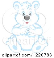 Poster, Art Print Of Sitting Chubby Polar Bear Cub