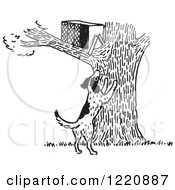 Dark Barking At An Animal Trap In A Tree In Black And White