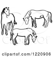 Poster, Art Print Of Black And White Three Horses