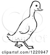Clipart Of A Black And White Walking Duck Royalty Free Vector Illustration