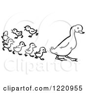 Clipart Of A Black And White Duck And Ducklings Royalty Free Vector Illustration