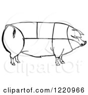 Poster, Art Print Of Black And White Pig Showing Cuts Of Pork