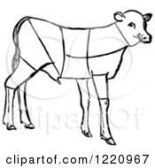 Poster, Art Print Of Black And White Lamb Showing Cuts Of Veal