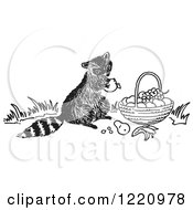Poster, Art Print Of Black And White Raccoon Eating Fruit From A Basket