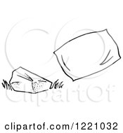 Poster, Art Print Of Black And White Rock And Pillow