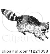 Poster, Art Print Of Black And White Raccoon 2