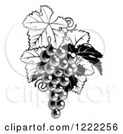 Poster, Art Print Of Black And White Bunch Of Grapes And Leaves