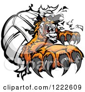 Poster, Art Print Of Tiger Mascot Clawing Through A Volleyball