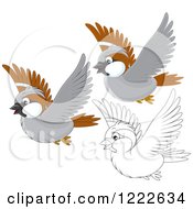 Poster, Art Print Of Outlined And Colored Cute Sparrow Birds Flying